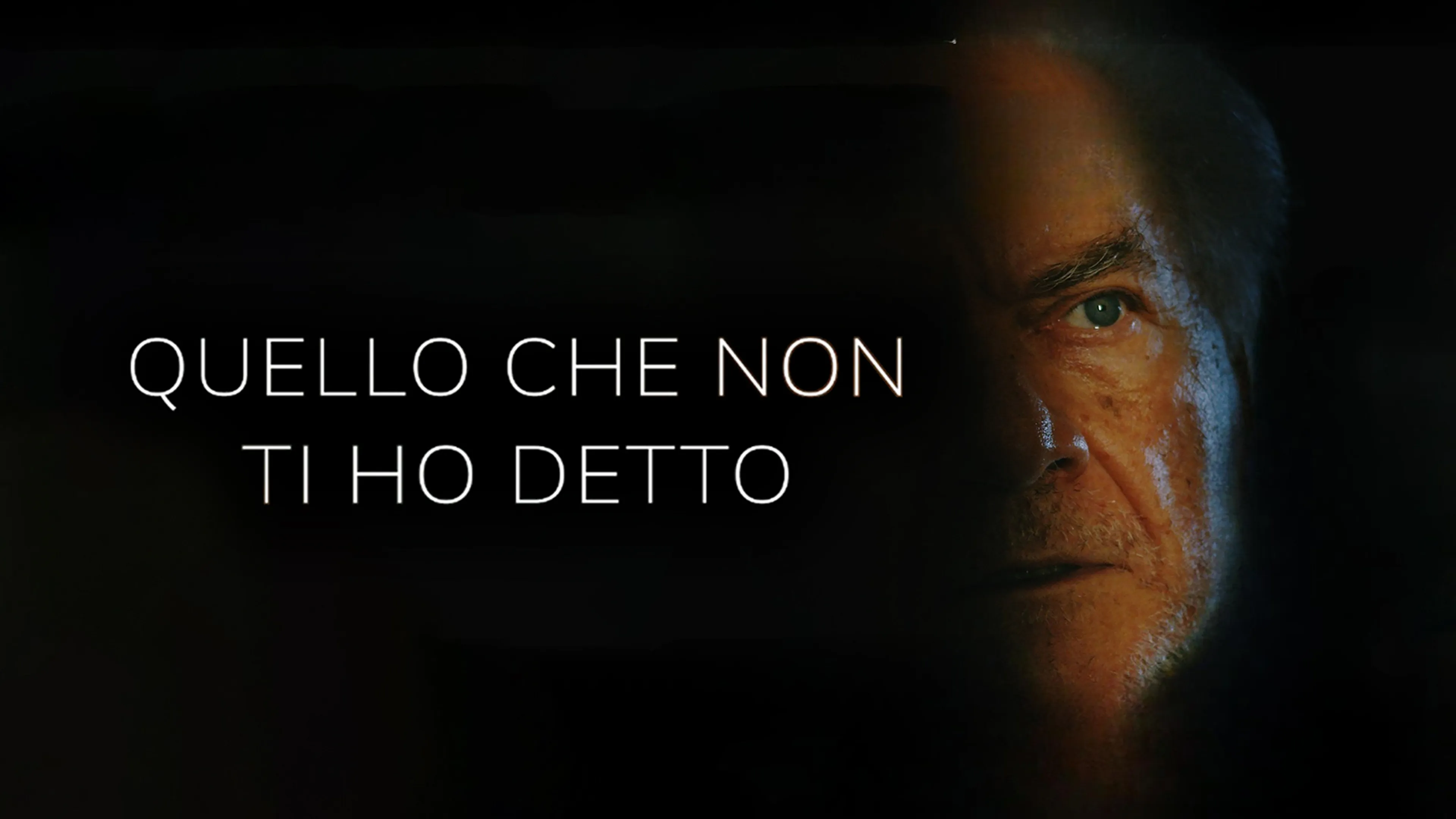 Quello Che Non Ti Ho Detto poster